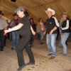 IMG_9150 (Custom)
